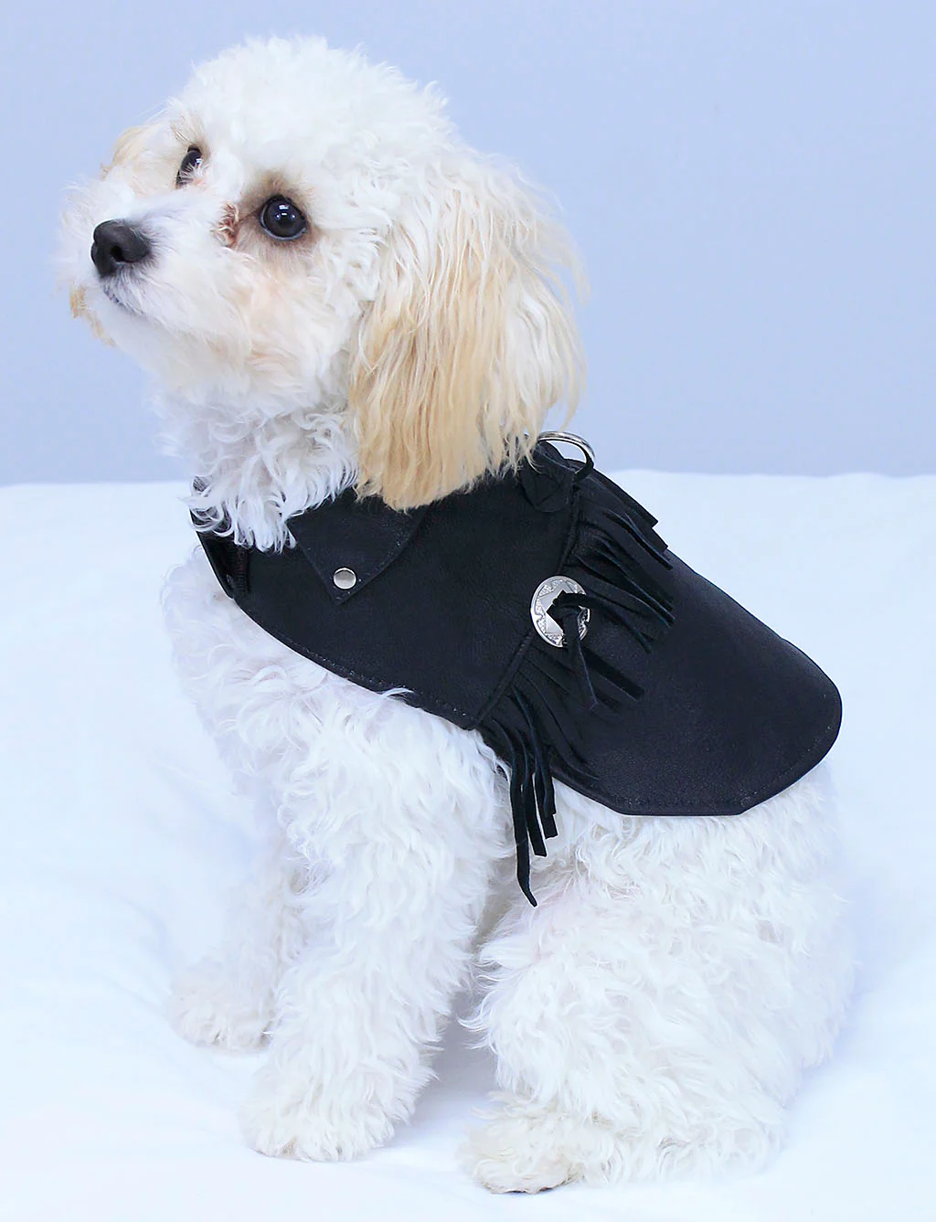 Doggie Fringed Genuine Leather Coat - Handmade in USA #DC2402FCK - Image 3