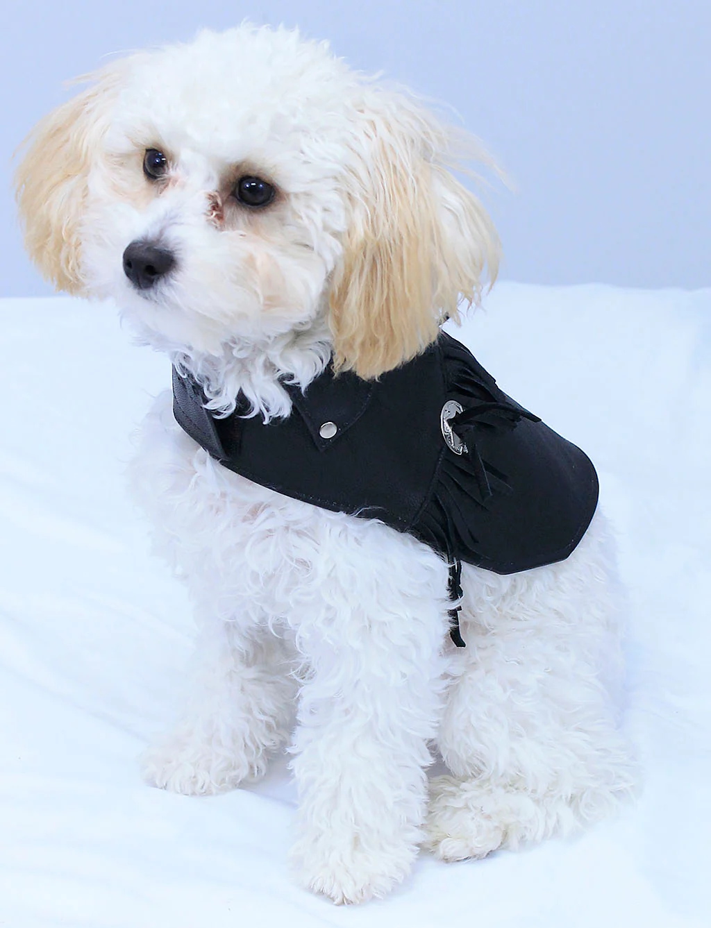 Doggie Fringed Genuine Leather Coat - Handmade in USA #DC2402FCK - Image 5