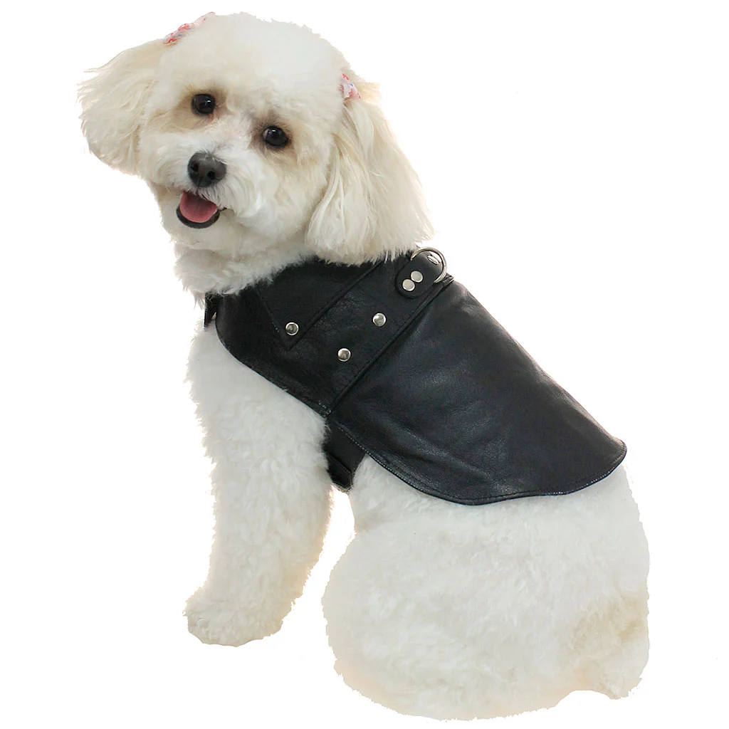 Doggie Leather Biker Coat - Genuine Leather Made in USA #DC2401RPK - Image 3