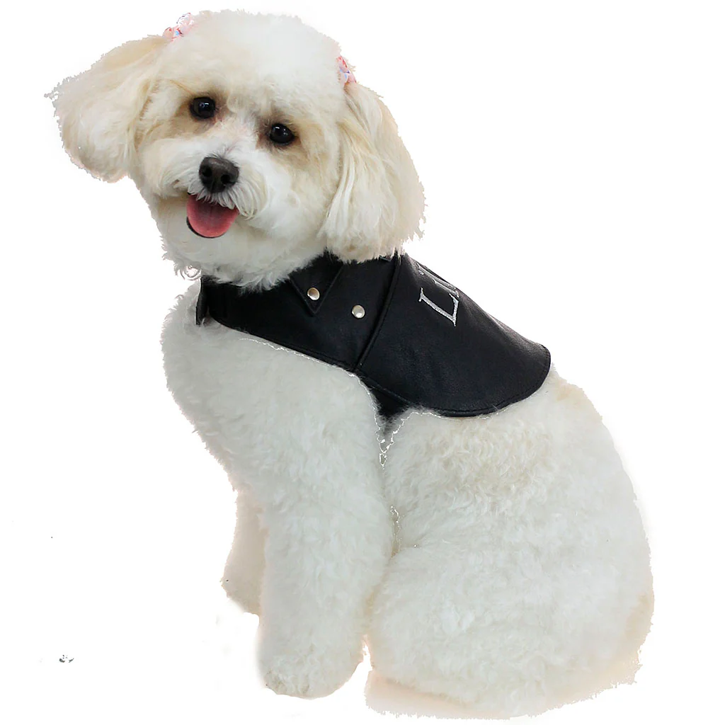 Doggie Leather Biker Coat - Genuine Leather Made in USA #DC2401RPK - Image 4