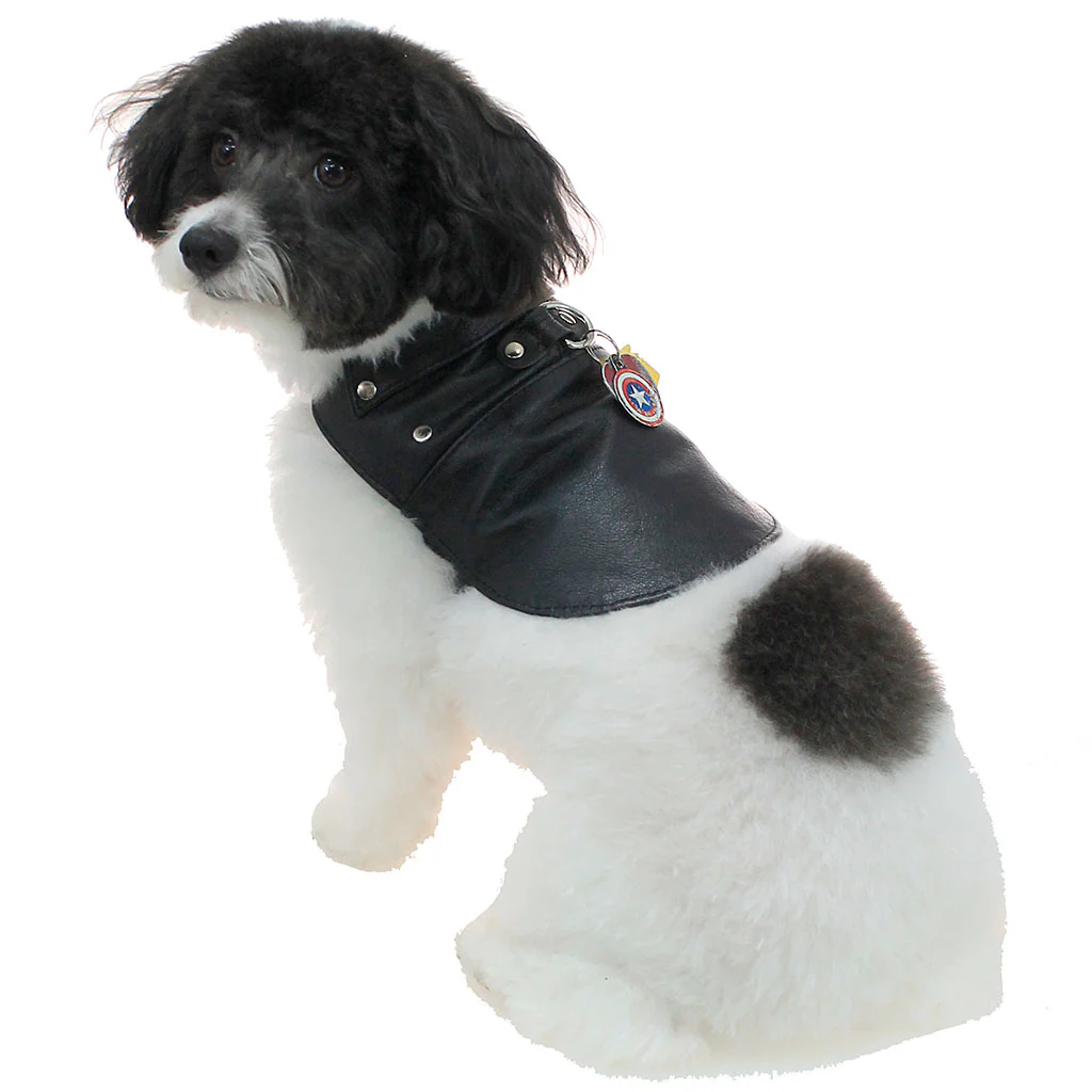 Doggie Leather Biker Coat - Genuine Leather Made in USA #DC2401RPK - Image 6