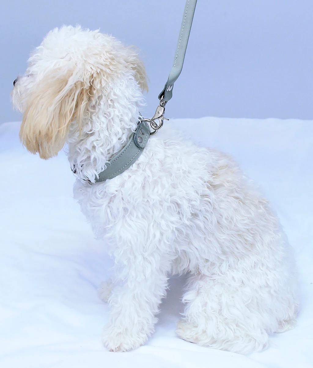 Gray Leather Dog Collar #DC24103GY - Image 5