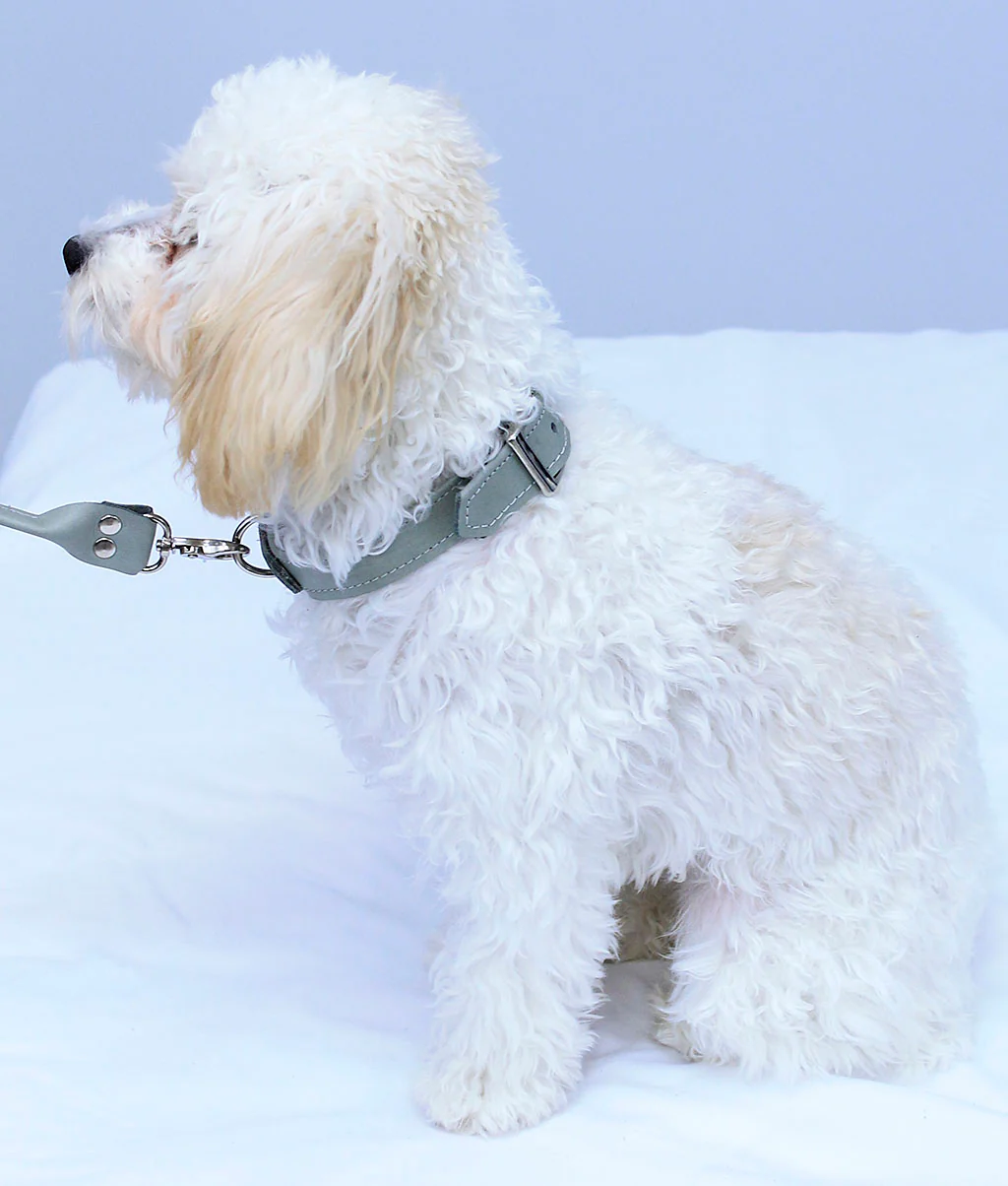 Gray Leather Dog Collar #DC24103GY - Image 7